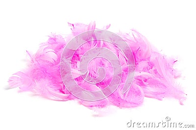 Pink feathers Stock Photo