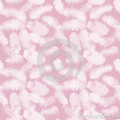 Pink feathers Stock Photo