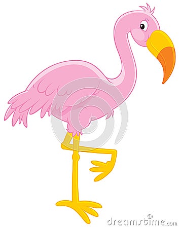Pink flamingo Vector Illustration