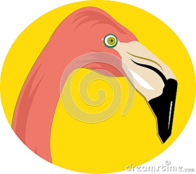 Pink Flamingo Stock Photo