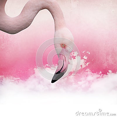 Pink flamingo background Stock Photo