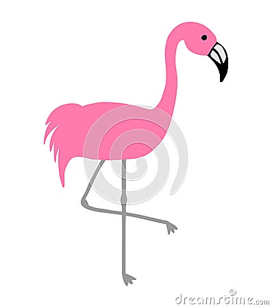 Pink flamingo bird Vector Illustration