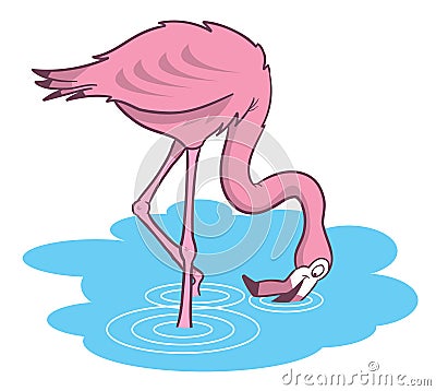 Pink flamingo cartoon illustration Vector Illustration