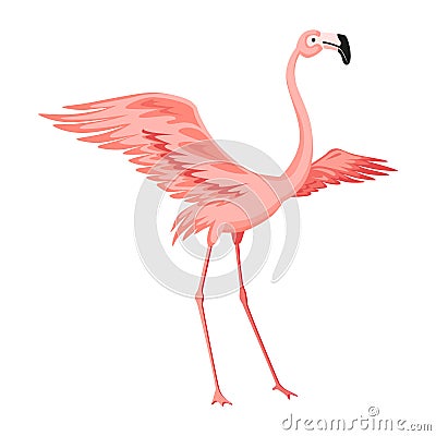 Pink flamingo. Exotic tropical bird character. Isolated wildlife animal. Nature wild fauna. Cute african bird standing Vector Illustration