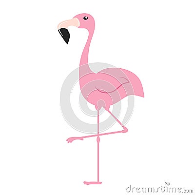 Pink flamingo. Exotic tropical bird. Zoo animal collection. Cute Vector Illustration