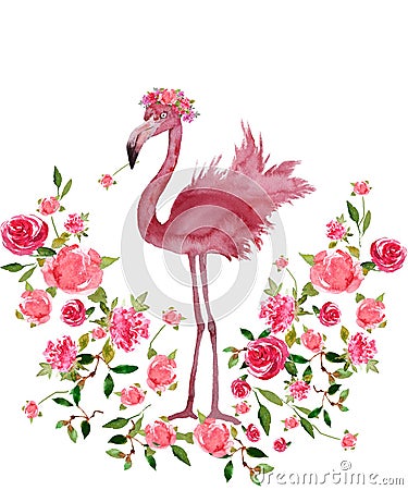 Pink Flamingo and Floral wreath Hand drawn Watercolor isolated Stock Photo