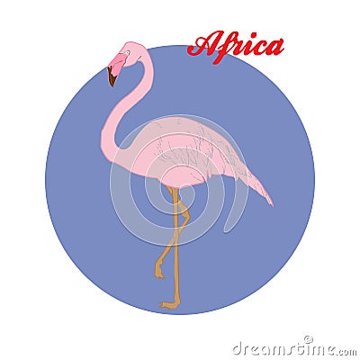 Pink Flamingo illustration on the background of the circle Vector Illustration