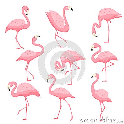 Pink flamingo vector cartoon illustration Vector Illustration