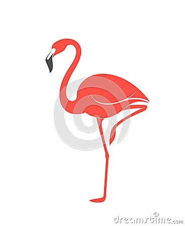 Pink flamingo Vector Illustration