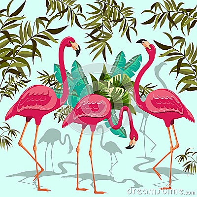Pink Flamingos Exotic Birds Vector Illustration