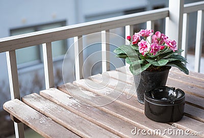 Pink flower with ceramic ashtray on wooden table at terrace Stock Photo