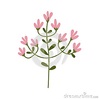 Pink Flower flat icon, plant nature, chamomile sign, a colorful solid pattern on a white background, eps 10. Vector Illustration