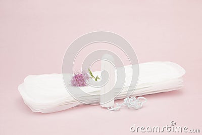 Pink flower, menstrual sanitary tampon and pads. Woman critical days, gynecological menstruation cycle. Menstruation sanitary woma Stock Photo