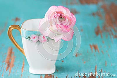 Pink Flower in teacup Stock Photo