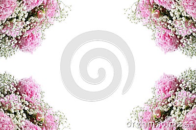 Pink Flowering Peonies and Babys Breath Flowers Frame Against a White Background Stock Photo