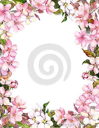 Pink flowers - apple, cherry blossom. Floral border for shabby background. Watercolor Stock Photo