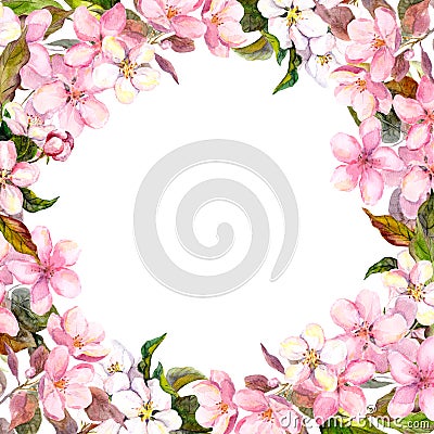 Pink flowers - apple, cherry blossom. Floral frame. Watercolour Stock Photo