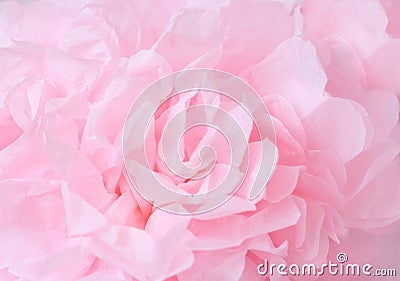 Pink flowers background. Macro of pink petals texture. Soft dreamy image.Shallow DOF Stock Photo