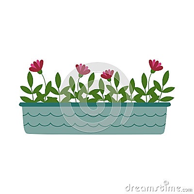 Pink flowers and green branches in blue flowerpot. Houseplant in doodle style. Vector Illustration