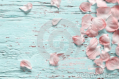 Pink flowers petal on pastel wooden flat lay, top view Stock Photo