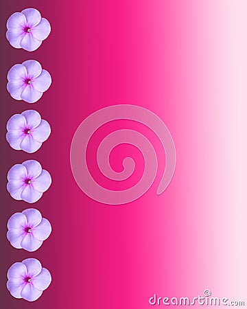 Pink flowers on a pink and white background Stock Photo