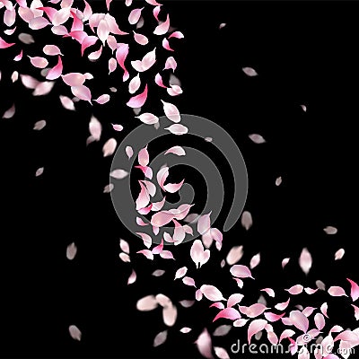 Pink flying petals Stock Photo