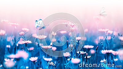 Pink forest flowers and butterfly on a background of blue leaves and stems. Artistic natural macro image. Stock Photo
