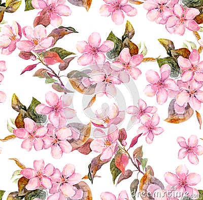 Pink fruit apple, cherry, sakura flowers. Seamless floral template. Aquarelle on white background Stock Photo