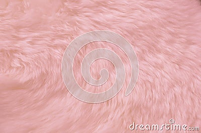 Pink fur Stock Photo