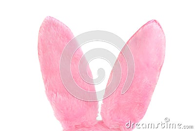 Pink Furry Bunny Ears on white with copy space Stock Photo