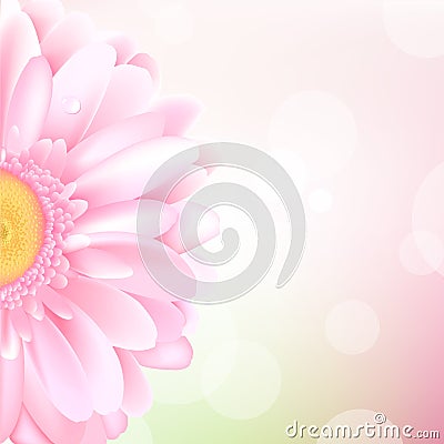 Pink Gerbera Vector Illustration