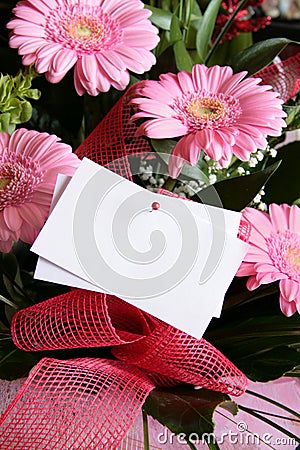Pink gerbera bouquet Stock Photo