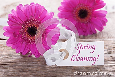 Pink Gerbera, Label, Text Spring Cleaning Stock Photo