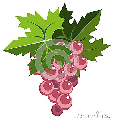 Pink grape bunch with leaves Vector Illustration