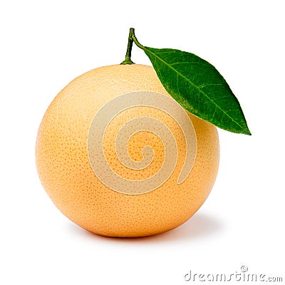 Pink grapefruit isolated Stock Photo