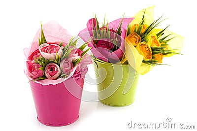 Pink and green bucket Stock Photo