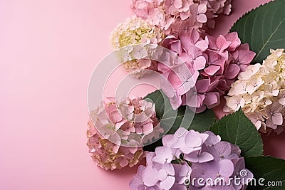 Pink Hydrangea Dreams: A Pastel Floral Composition Stock Photo