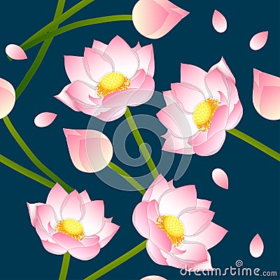 Pink Indian lotus on Indigo Blue Background. Vector Illustration