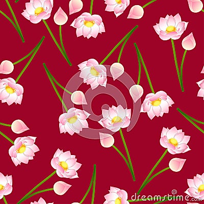 Pink Indian lotus on Red Background. Nelumbo nucifera,sacred lotus, bean of India, Egyptian bean. National flower of India Vector Illustration