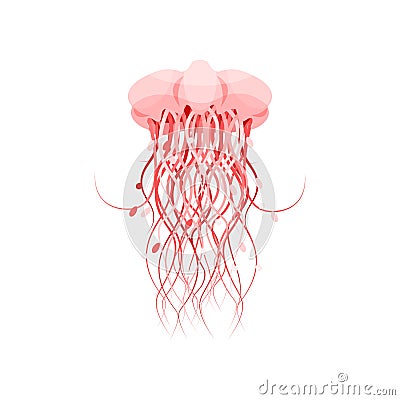 Pink jellyfish, beautiful sea creature vector Illustration on a white background Vector Illustration