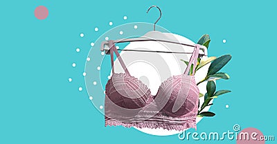 Pink lace bra on a hanger. Underwear. Vintage White Lace Bra unlined lace detailing. Sexuality and seductive lingerie. Banner conc Stock Photo