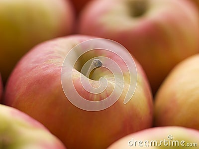 Pink Lady Apples Stock Photo