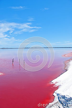 Pink Lake, Western Australia Stock Photo