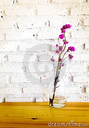 Pink lavender in bottle glass on the table Stock Photo