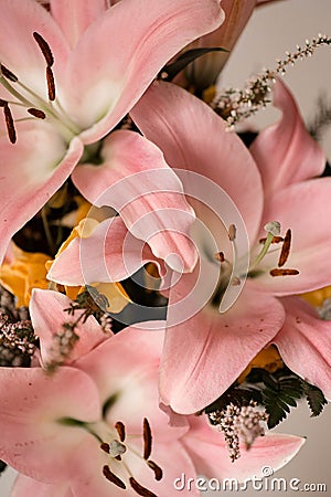 Pink lilies bouquet. Stock Photo
