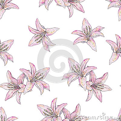Pink lily flowers isolated on white background. Watercolor handwork illustration. Draw of blooming lily. Seamless pattern Cartoon Illustration