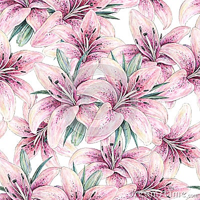 Pink lily flowers isolated on white background. Watercolor handwork illustration Cartoon Illustration