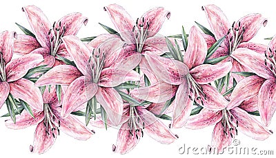 Pink lily flowers isolated on white background. Watercolor handwork illustration. Seamless pattern frame border with lilies Cartoon Illustration