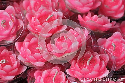 Pink Lotus Candles Stock Photo