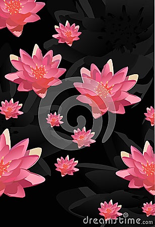 Pink lotus flowers background Vector Illustration